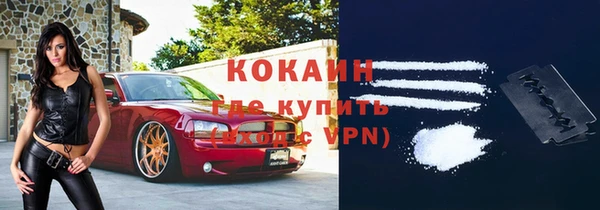 индика Нижневартовск