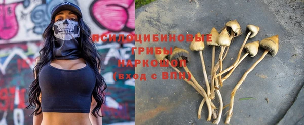 мяу мяу мука Краснотурьинск